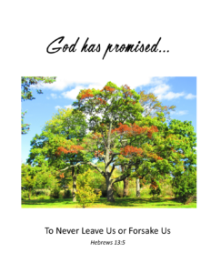 HE has said...