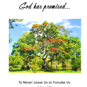 HE has said...