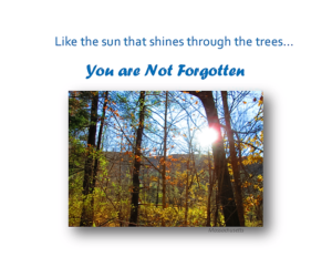 Not Forgotten-01