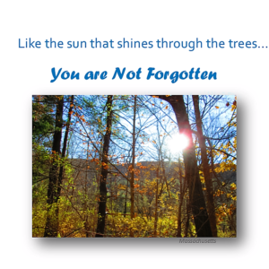 Not Forgotten-01