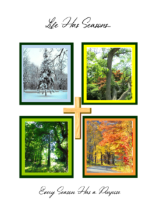 Seasons-07